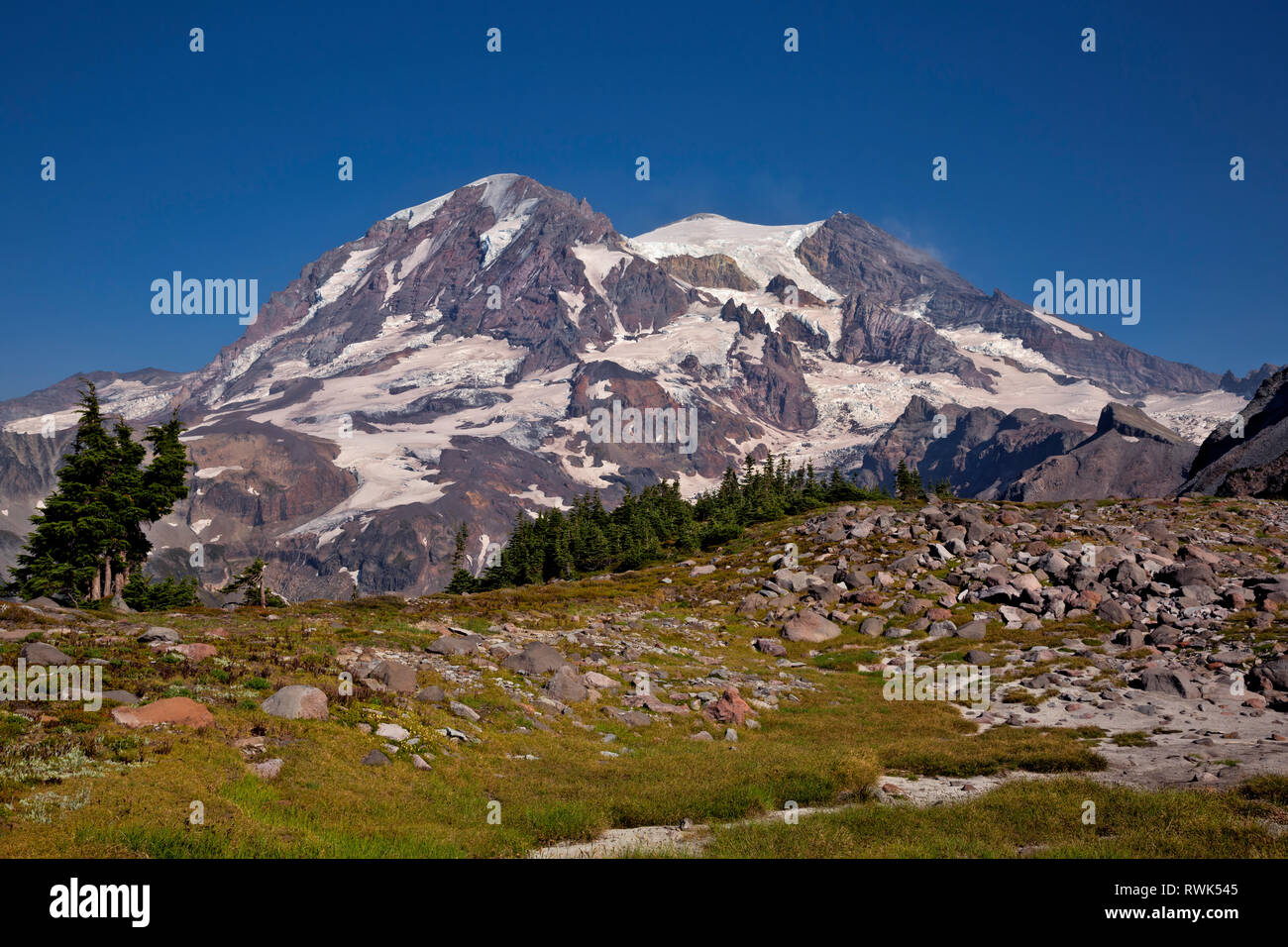 WA15892-00...WASHINGTON - la vista delle montagne dal colonnato Ridge in Mount Rainier National Park. Foto Stock