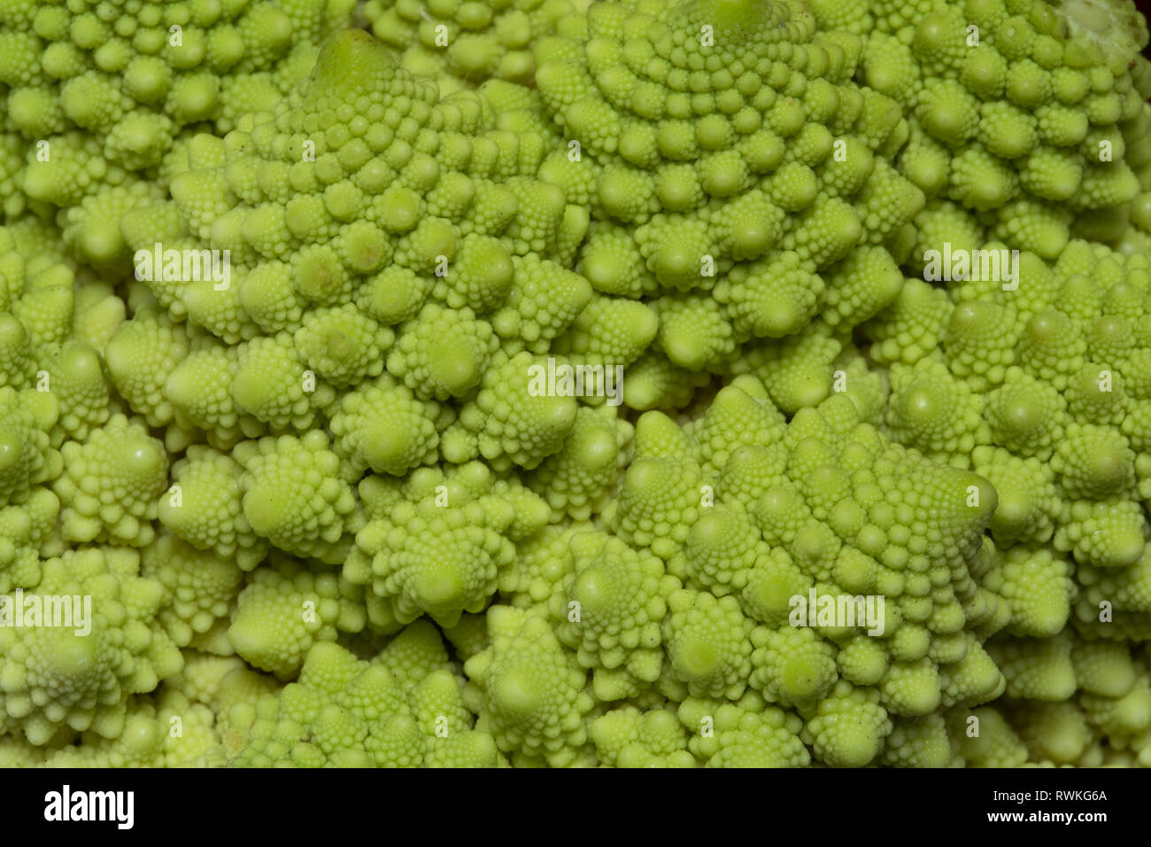 Romanesco broccoli close up Foto Stock
