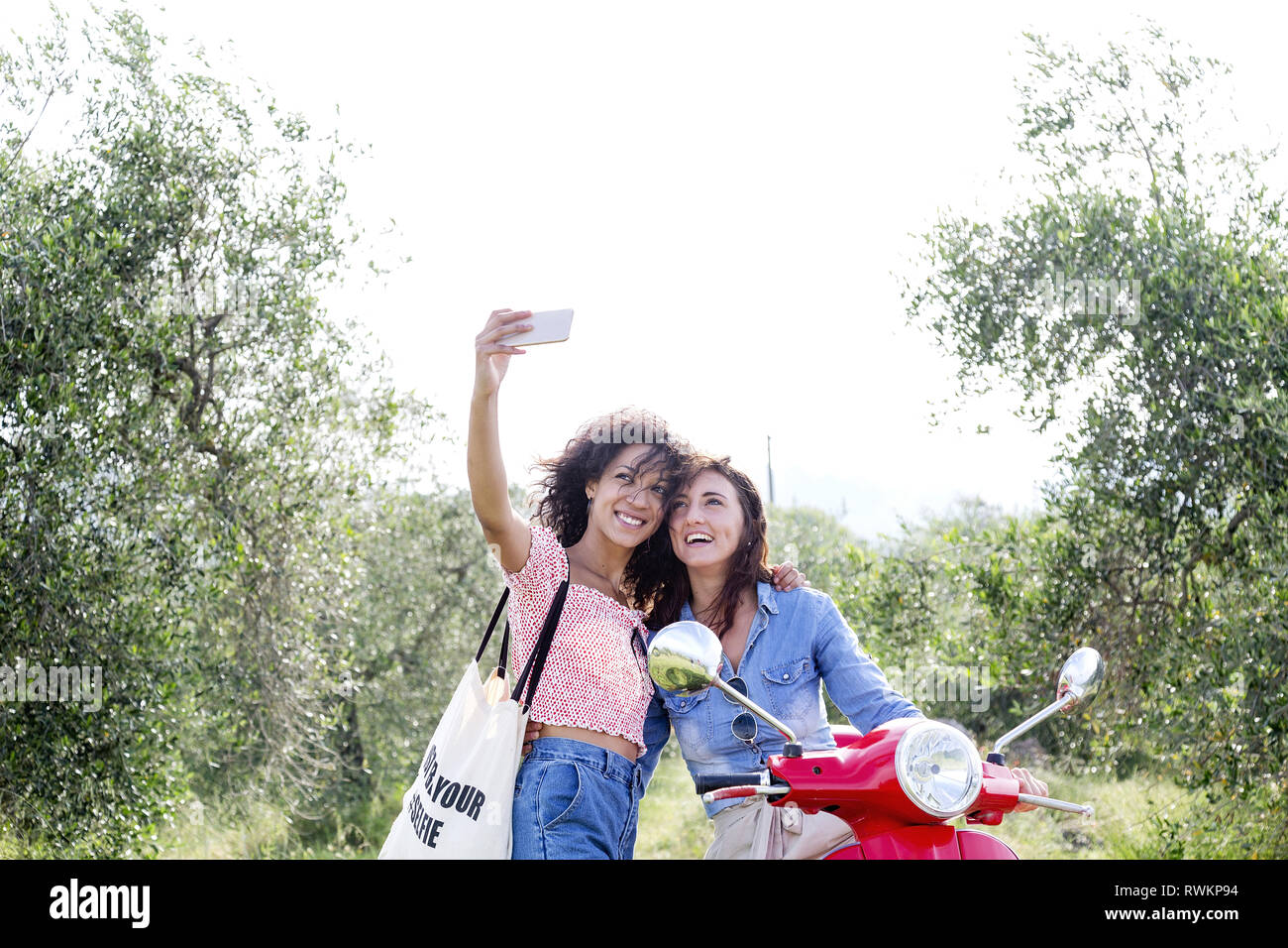 Amici prendendo selfie in oliveto, Città della Pieve, Umbria, Italia Foto Stock