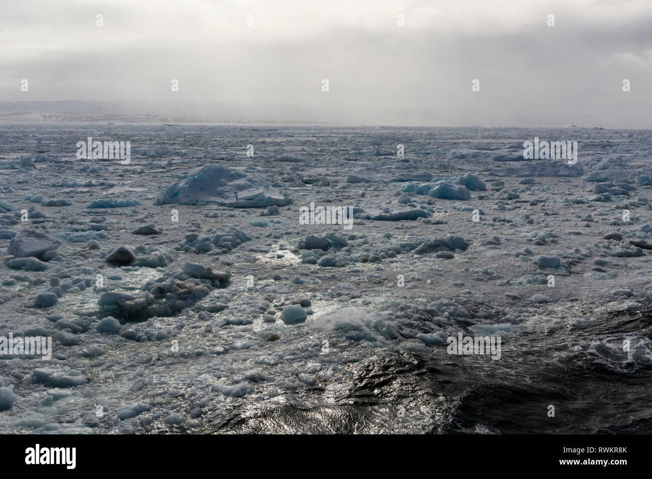 Oceano artico e shorefast ghiaccio, Wahlenberg fiordo, Nordaustlandet, Svalbard, Norvegia Foto Stock