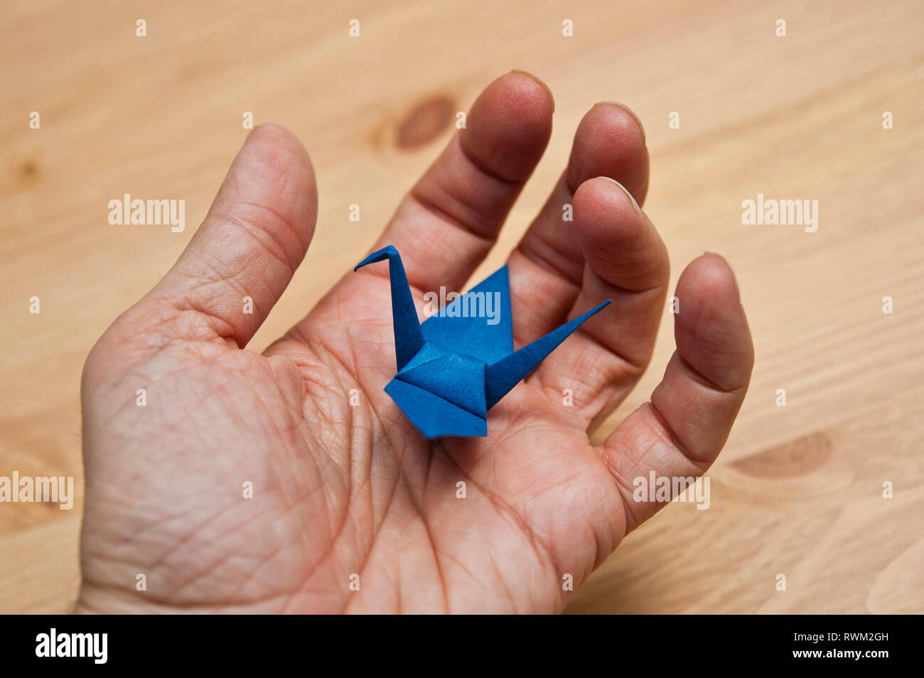 Maschio lato tenendo un origami blue bird Foto Stock