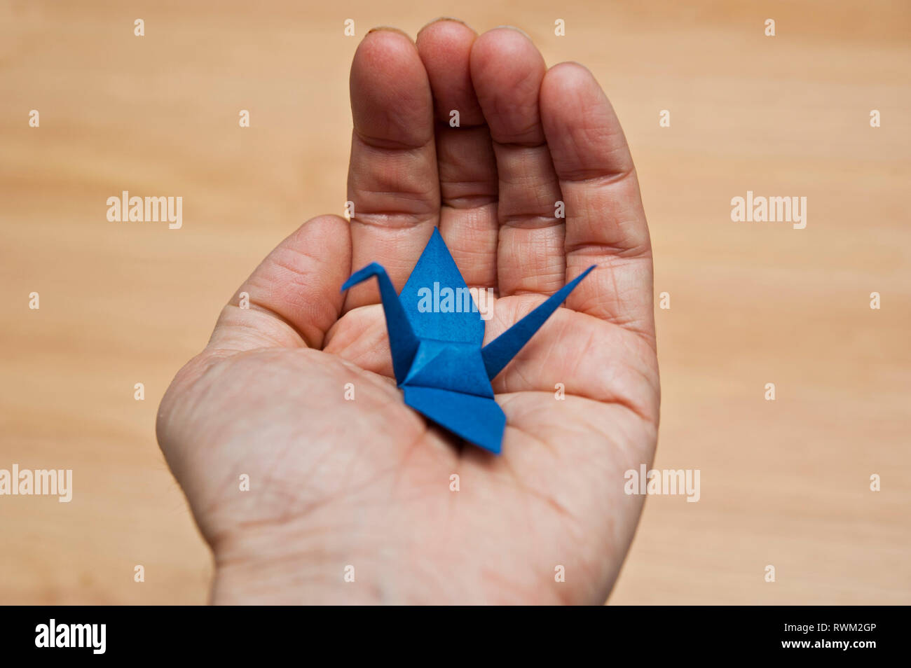 Maschio lato tenendo un origami blue bird Foto Stock