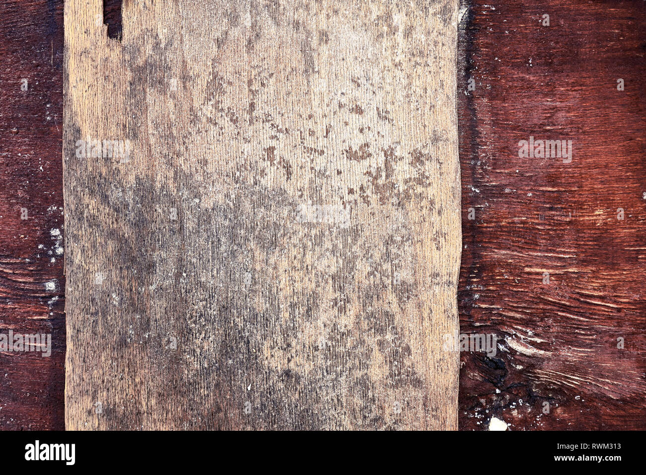 Close up marrone scuro e beige naturale texture di legno del tronco di un albero Grunge sfondo e sfondo. Foto Stock