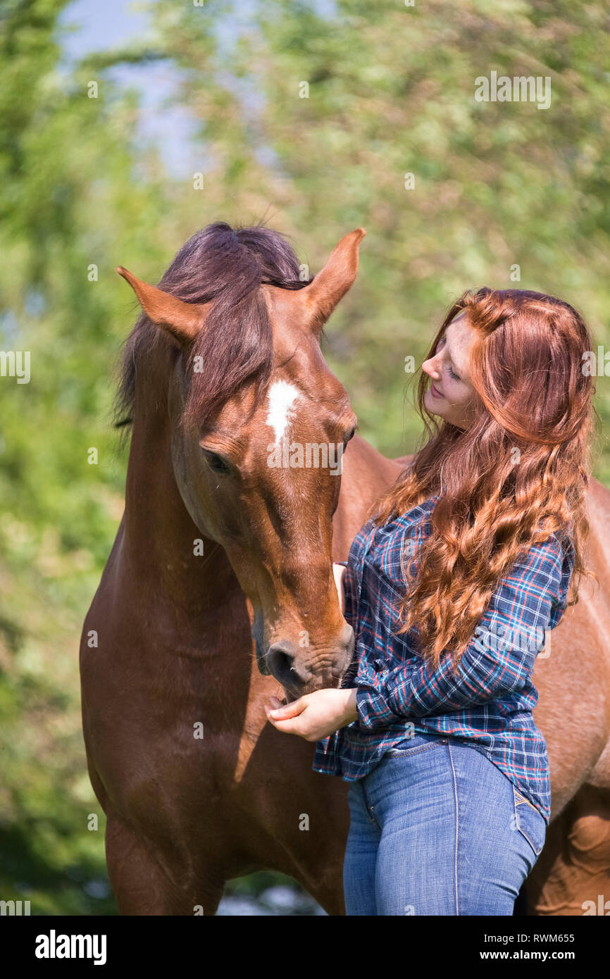 Missouri Fox Trotter. I Capelli rossi ragazza con castagne castrazione su un pascolo. smooching. Svizzera Foto Stock