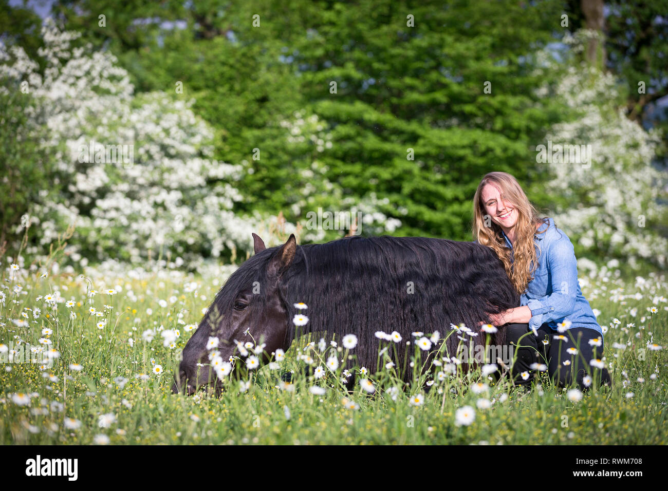 Lusitano. I capretti stallone nero giacente su un pascolo in primavera con un sorridente giovane donna. Svizzera Foto Stock