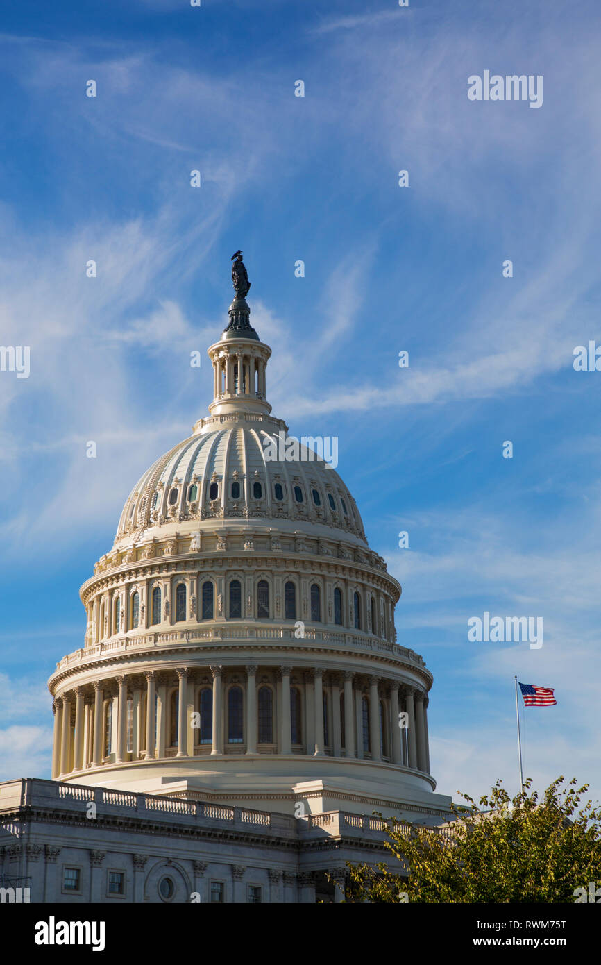 United States Capitol Building; Washington, Stati Uniti d'America Foto Stock