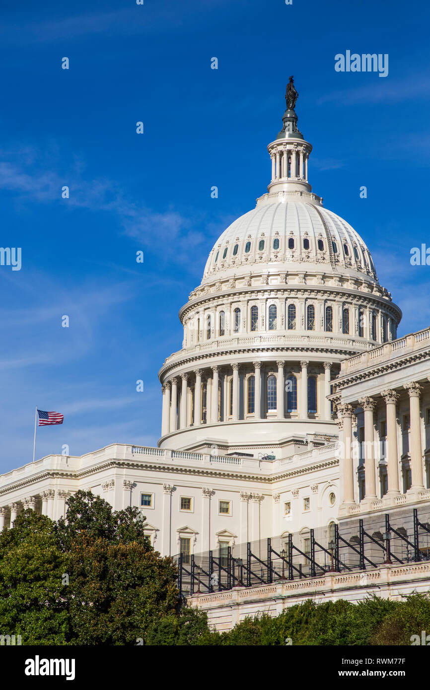 United States Capitol Building; Washington, Stati Uniti d'America Foto Stock