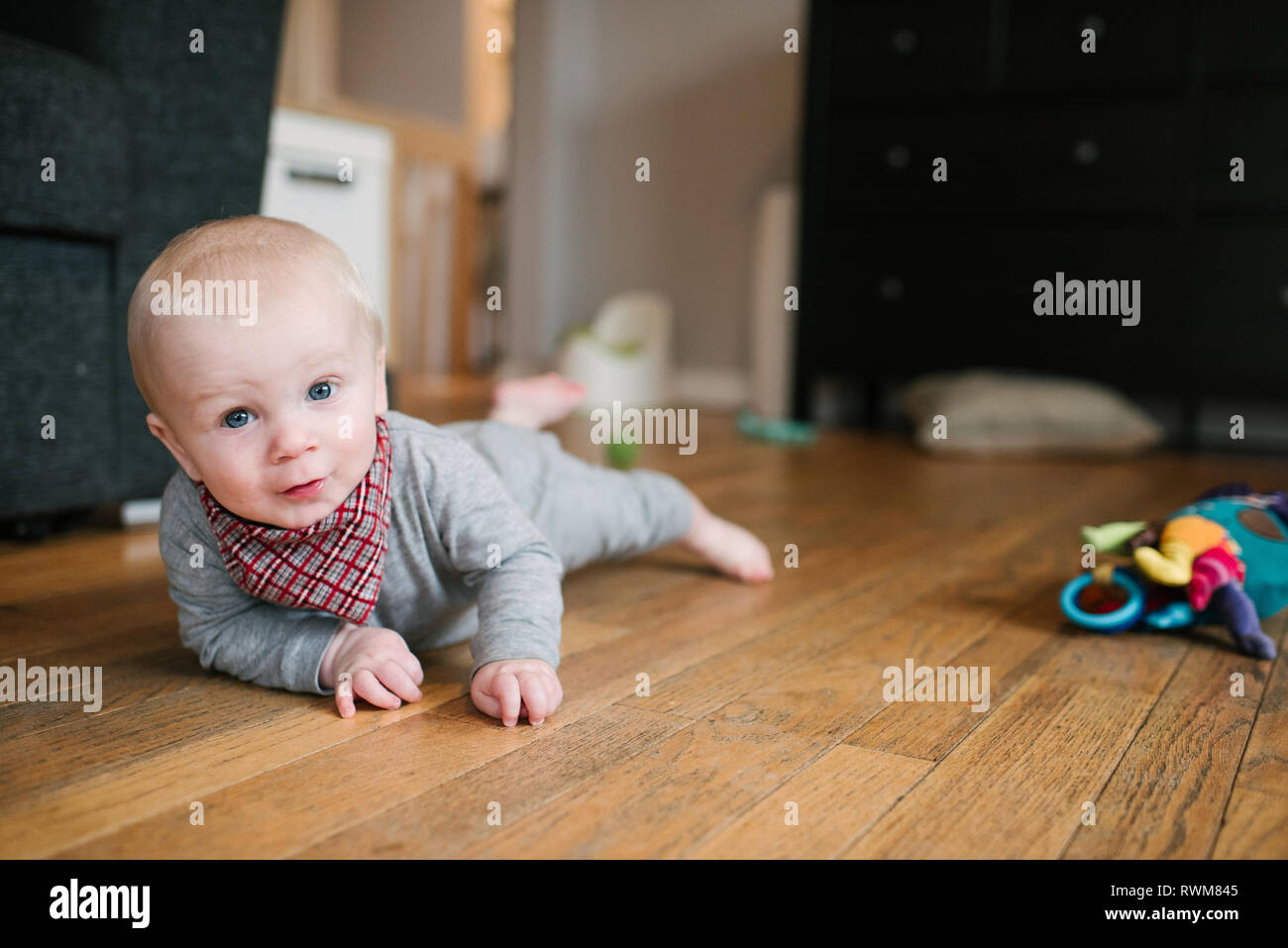 Baby boy strisciando sul pavimento in legno Foto Stock