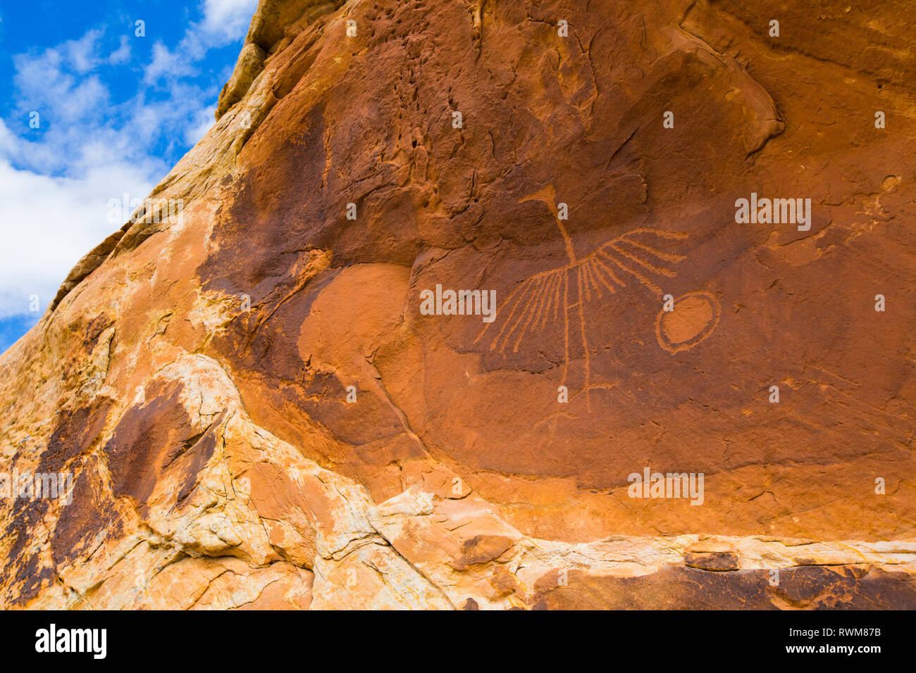 Gru grande pittogramma fatto da Puebloans ancestrale, circa 900-1000 Anni, porta le orecchie monumento nazionale; Utah, Stati Uniti d'America Foto Stock