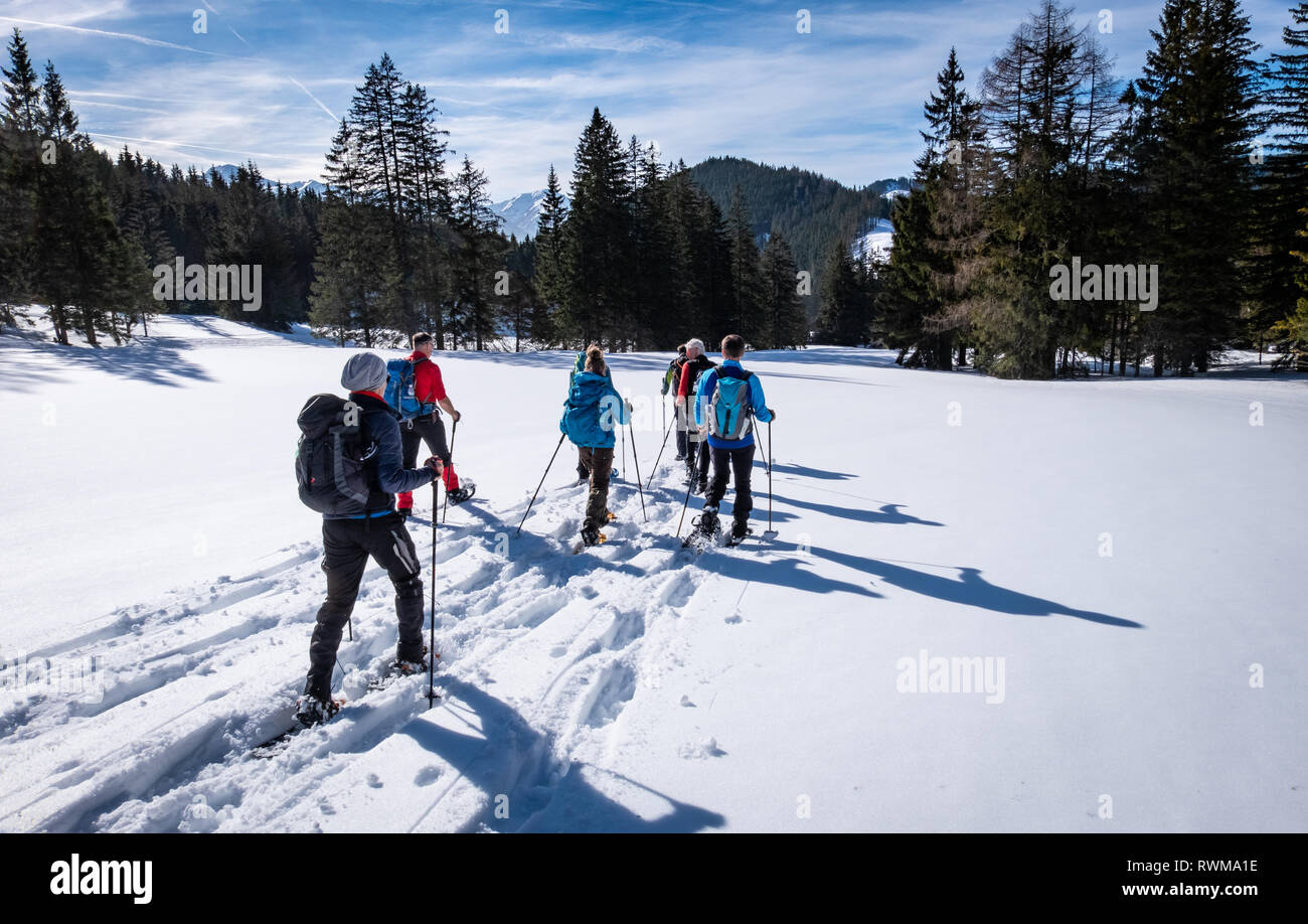 Gruppo di adulti con le racchette da neve thruogh una foresta sul altopiano innevato Kaiserau con mountain Rottenmanner Tauern su un soleggiato winterday in Stiria, Austria Foto Stock