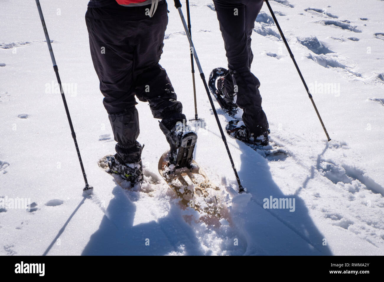 Close-up di due uomini escursionismo con le racchette da neve attraverso la neve profonda su una soleggiata giornata invernale in Austria Foto Stock