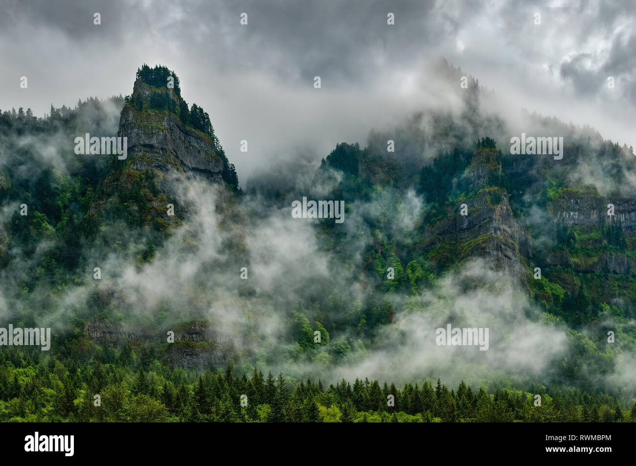 Scogliere e boschi sul lato sud del Columbia River Gorge, Oregon. Rocce basaltiche sono ricavati da antichi flussi di magma. Foto Stock