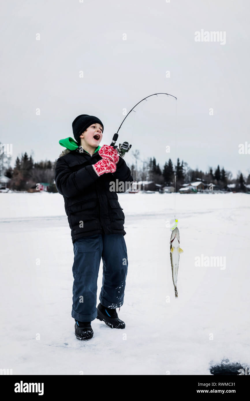 Un giovane ragazzo recuperando un Walleye mentre la pesca sul ghiaccio sul lago Wabamum durante un inverno una gita di famiglia; Wabamun, Alberta, Canada Foto Stock