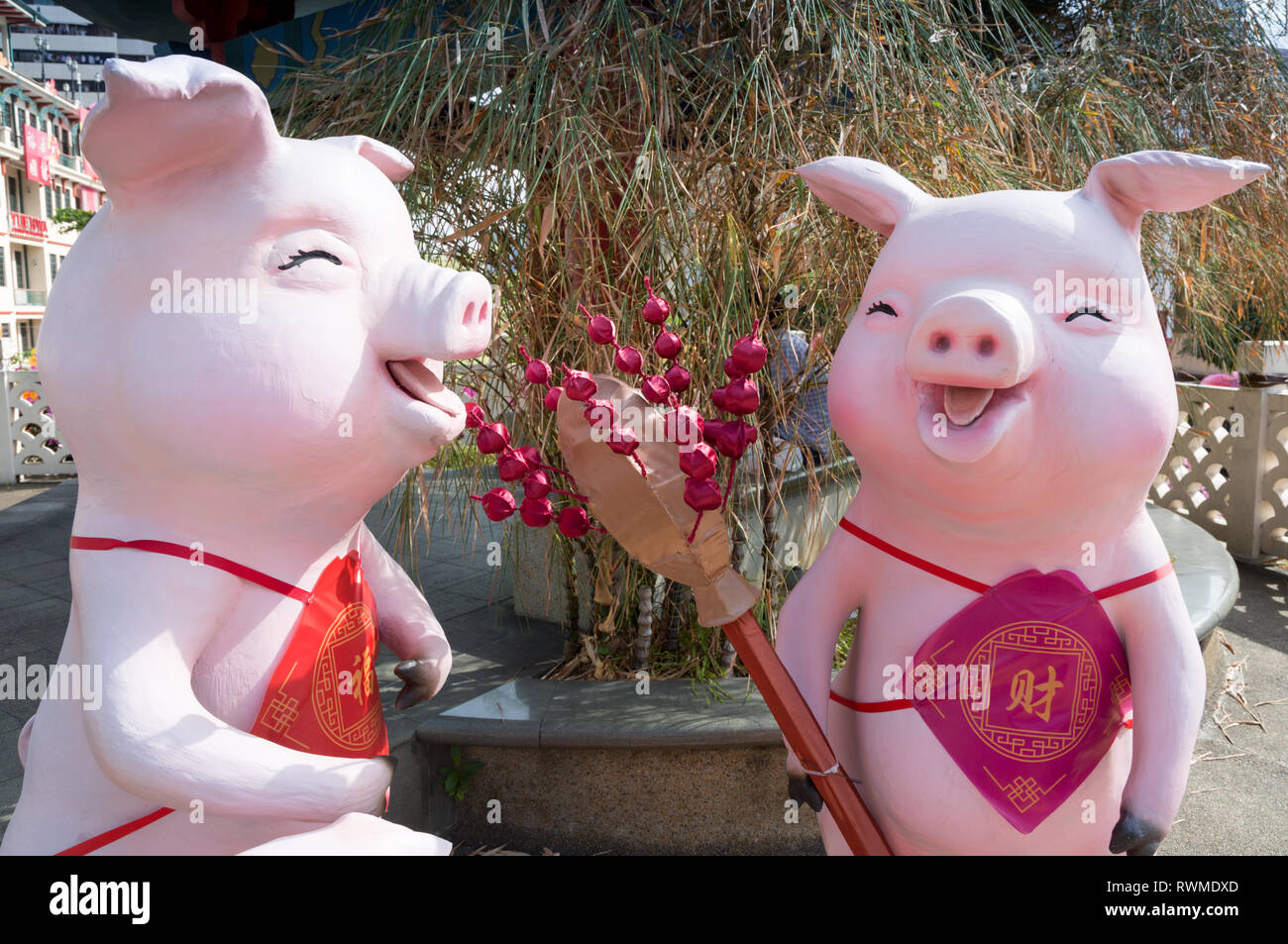 Modello grande suini, Chinatown, Singapore, durante il nuovo anno cinese 2019 Foto Stock
