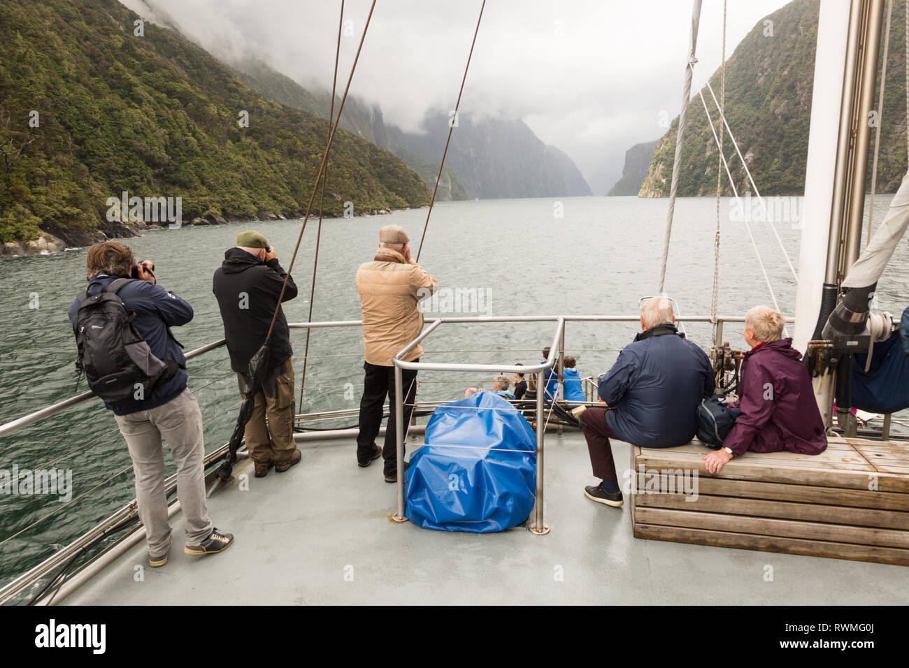 I turisti in una barca a Milford Sound, Nuova Zelanda Foto Stock