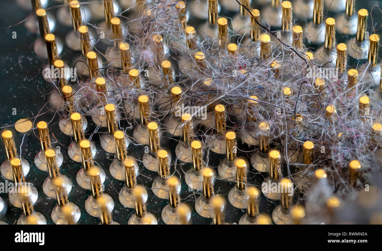 Il micro elementi del calcolatore unità centrale di elaborazione, la CPU di piedini di contatto ravvicinato. Foto Stock