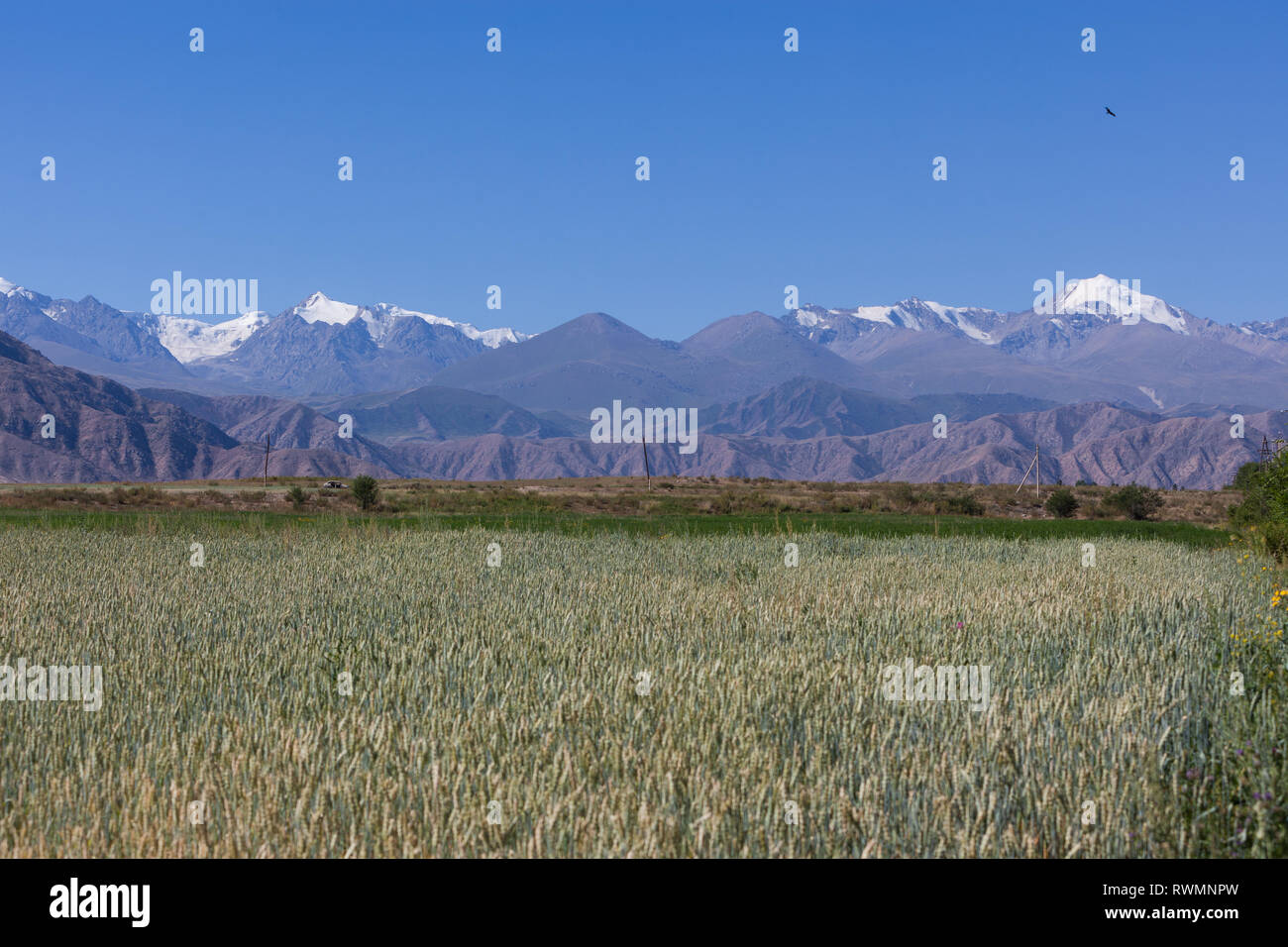 Bellissimo paesaggio di montagna nella regione di Karakol, Kirghizistan Foto Stock