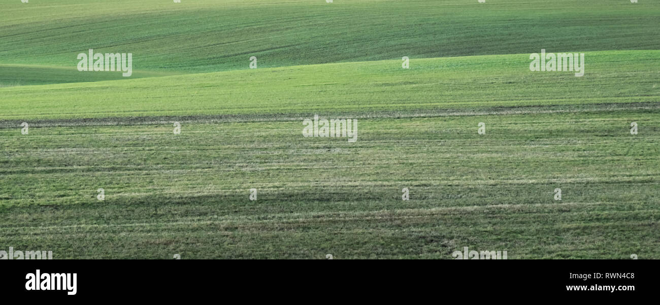 Un nuovo campo verde semplice ed elegante con le colline Foto Stock