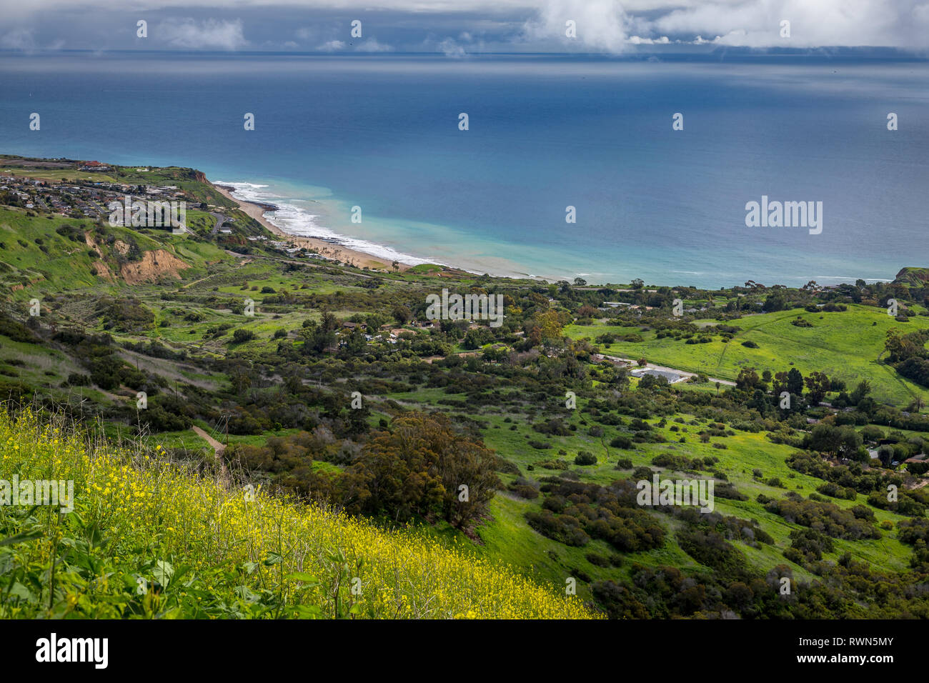 Colorato in elevazione del sud della costa Californiana con verdi colline e fiori in fioritura, Cerro Park, Rancho Palos Verdes, California Foto Stock