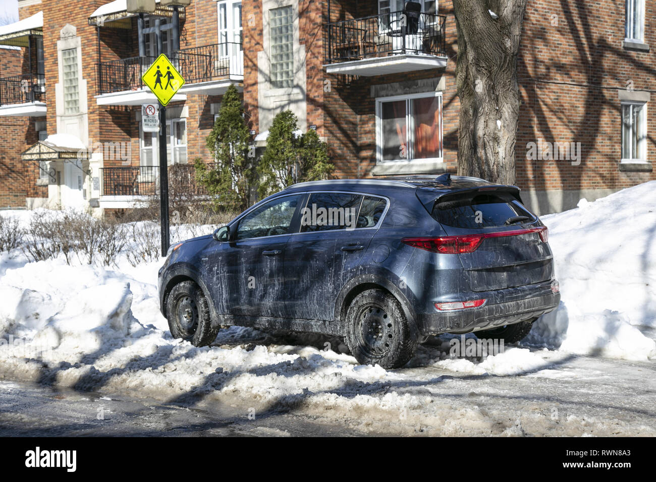 Auto parcheggiate sulla strada dopo una tempesta di neve, un sacco di neve, a Montreal Foto Stock