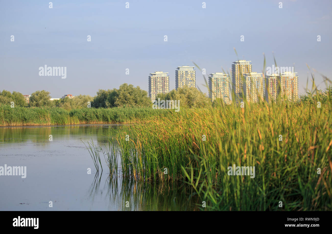 Un parco naturale a Bucarest, Romania, contenente le zone umide che circondano il lago Vacaresti. Grattacieli in background Foto Stock