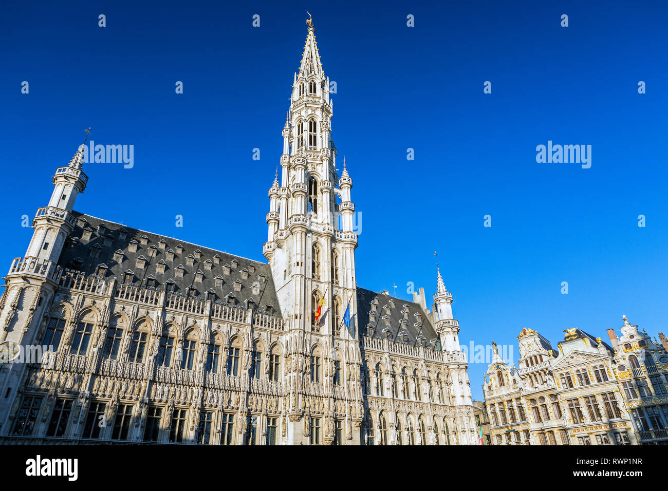 Municipio della città di Bruxelles, un grande edificio decorativo in piazza della città con rivestimento in oro e blu del cielo; Bruxelles, Belgio Foto Stock