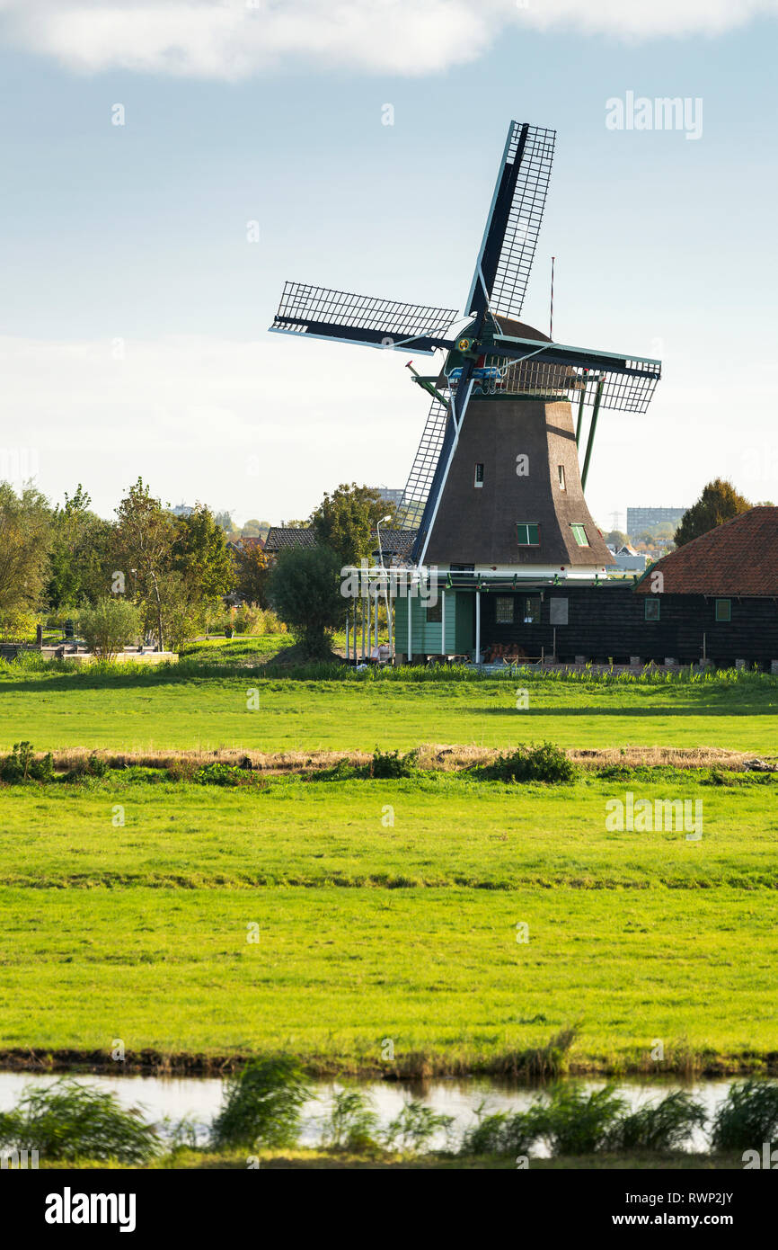 Vecchio mulino a vento in legno nel campo erboso con canal in primo piano e cielo blu e nuvole, nei pressi di Westzaan Zuid; Paesi Bassi Foto Stock