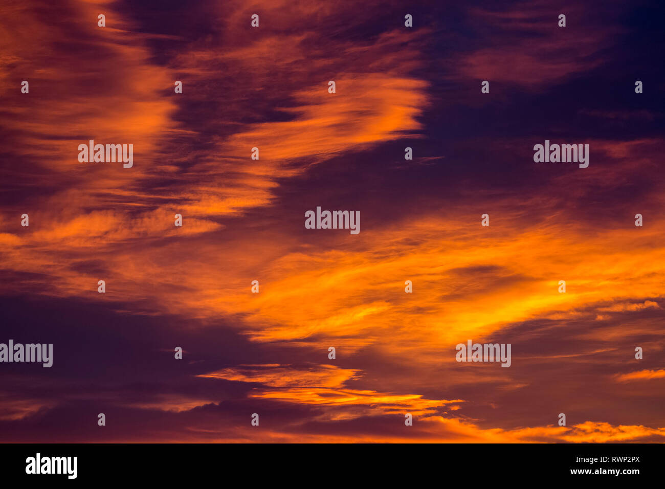 Drammatica nuvole incandescente nel fuoco di colore arancione al tramonto; Calgary, Alberta, Canada Foto Stock