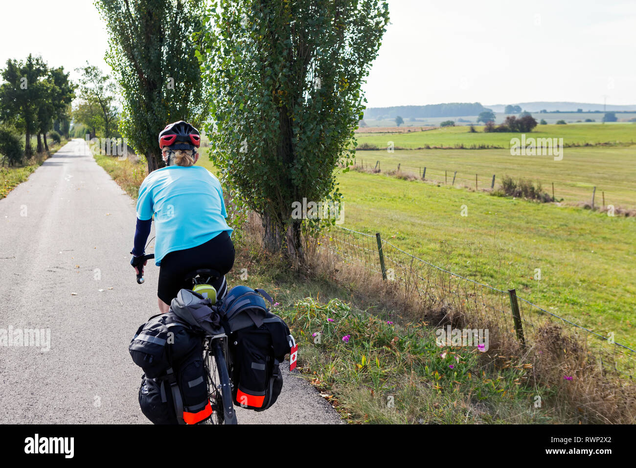 Ciclista femmina lungo una alberata percorso per biciclette con i campi della distanza a nord di Bastogne; Belgio Foto Stock