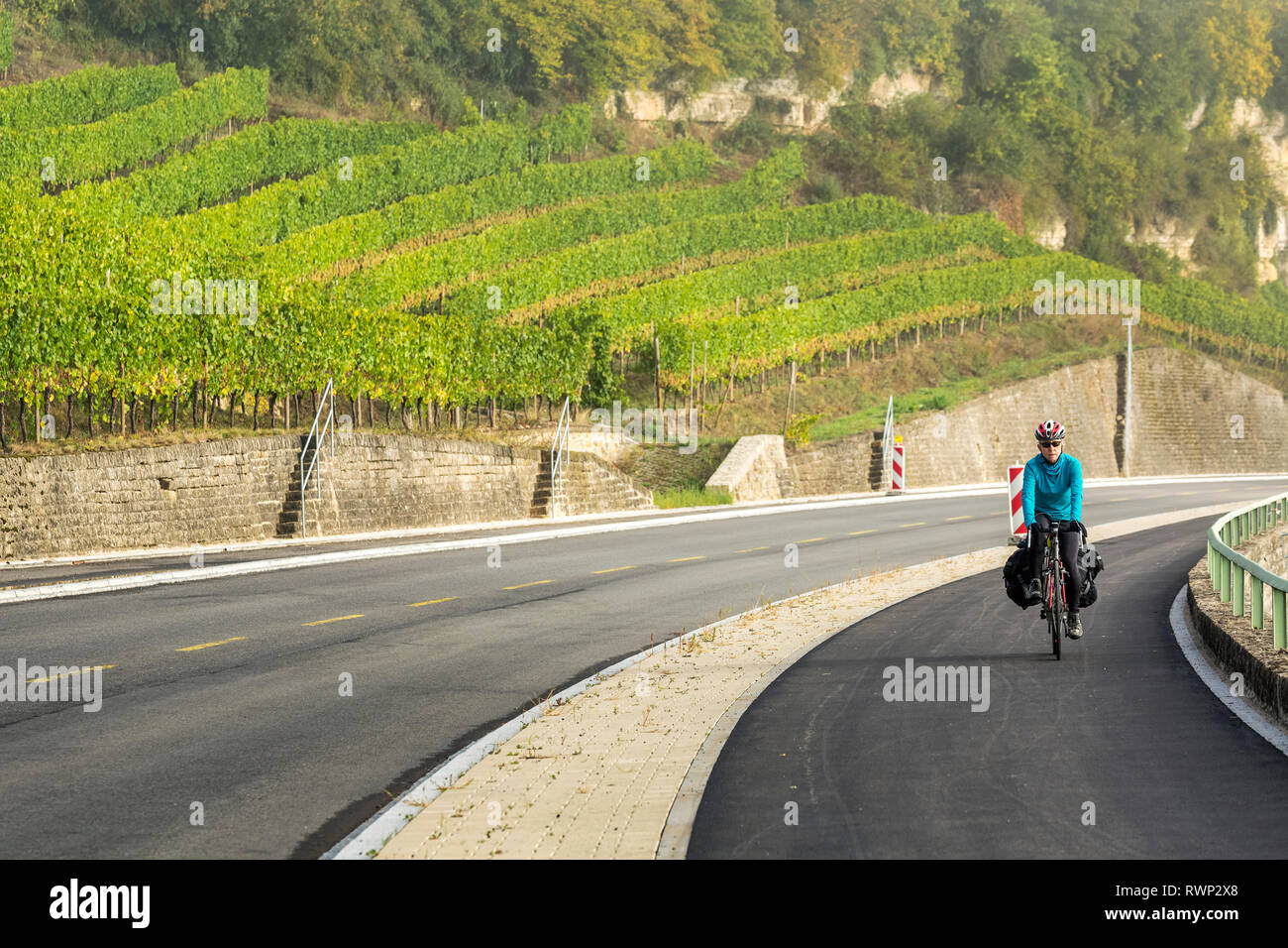 Ciclista femmina lungo un percorso di rullatura vigneti in collina e la nebbia nella valle del fiume, a nord di Remich; Lussemburgo Foto Stock