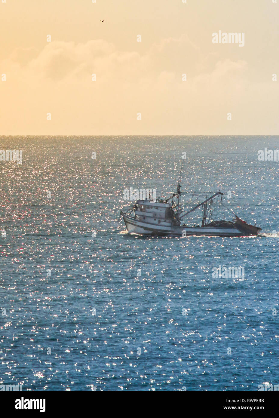 Foto scattata durante le escursioni alla sommità del Morro das Aranhas, Praia do Santinho, Florianpolis, Brasile. Foto Stock