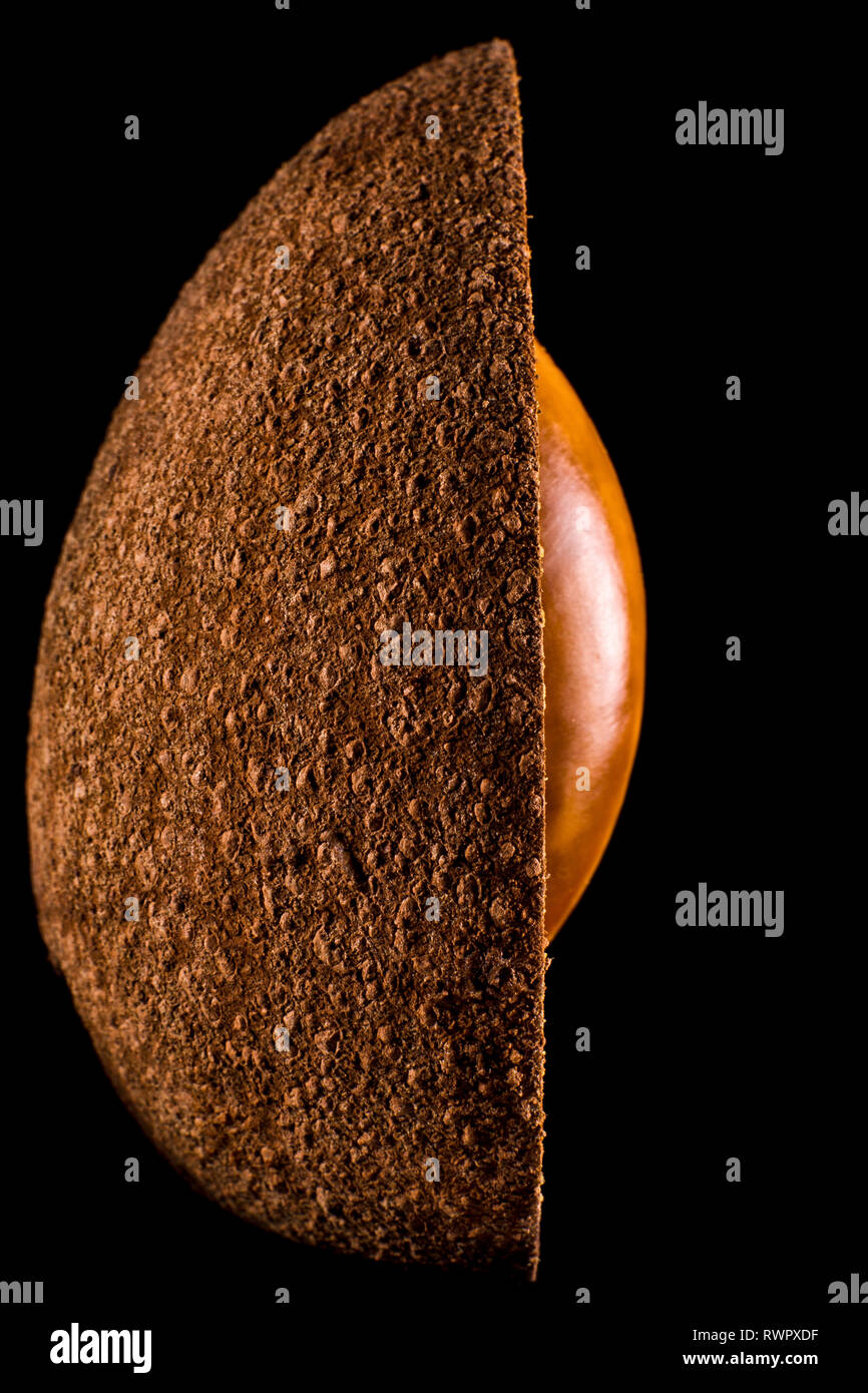 Mezza mamey sapote con sementi esposta Foto Stock