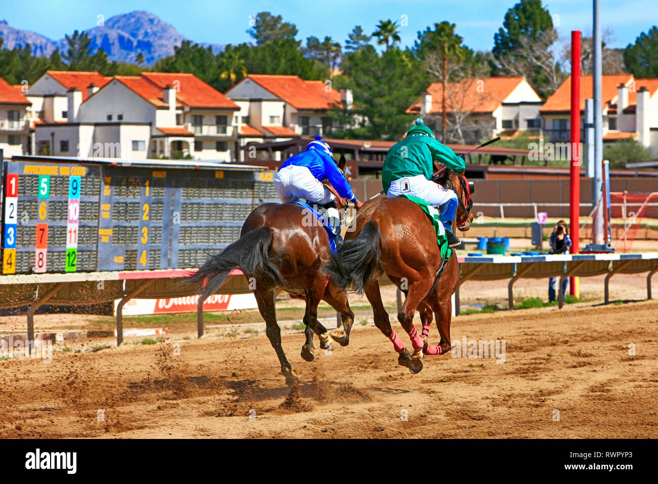 Horse Racing al Rillito Park Race Track in Tucson AZ Foto Stock