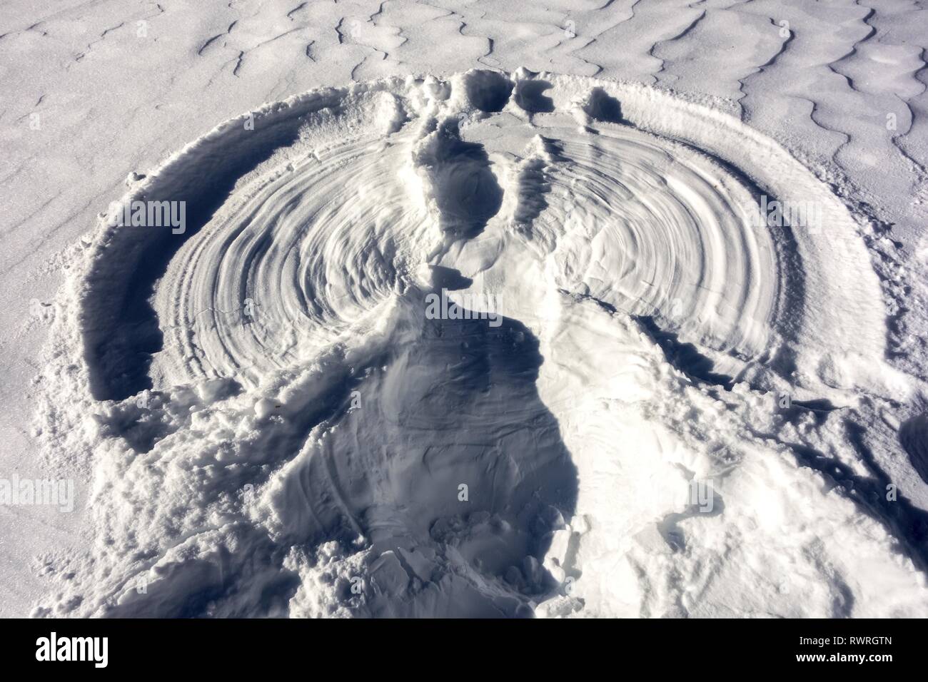 Forma astratta Pattern in Vergine bianco della neve in una fredda giornata invernale a Kananaskis Country, Alberta Canada Montagne Rocciose Foto Stock