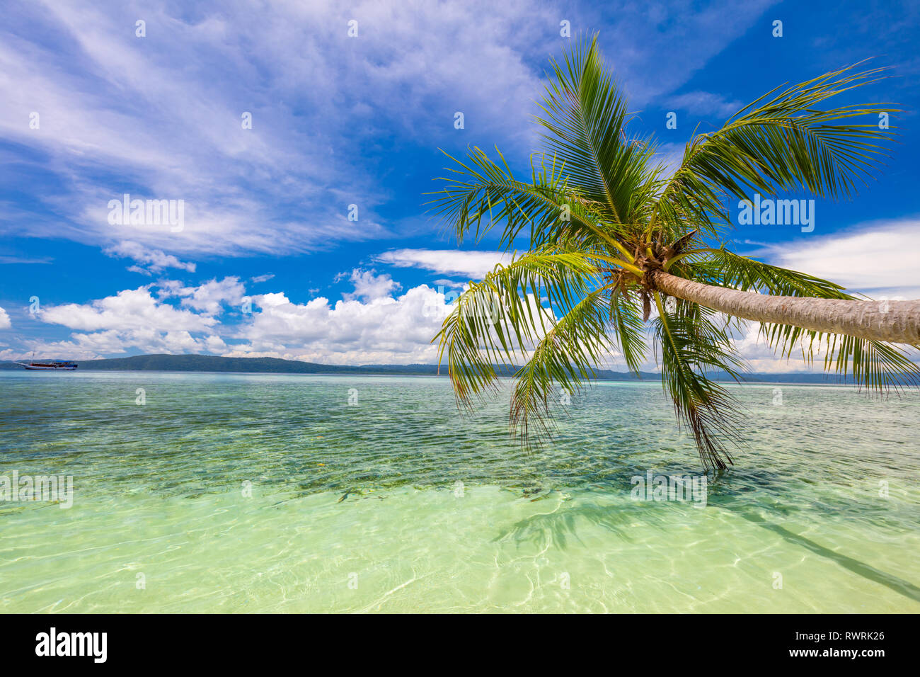 Tropicale idilliaco resto - mare calmo surf, palme e cielo blu. Tropical Beach sull'isola da sola. Nessuno. Indonesia Foto Stock