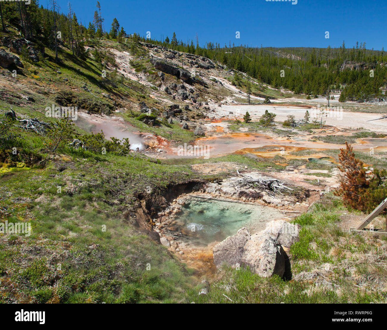 I bellissimi colori dell'artista Paint Pots nel Parco Nazionale di Yellowstone, Wyoming Foto Stock
