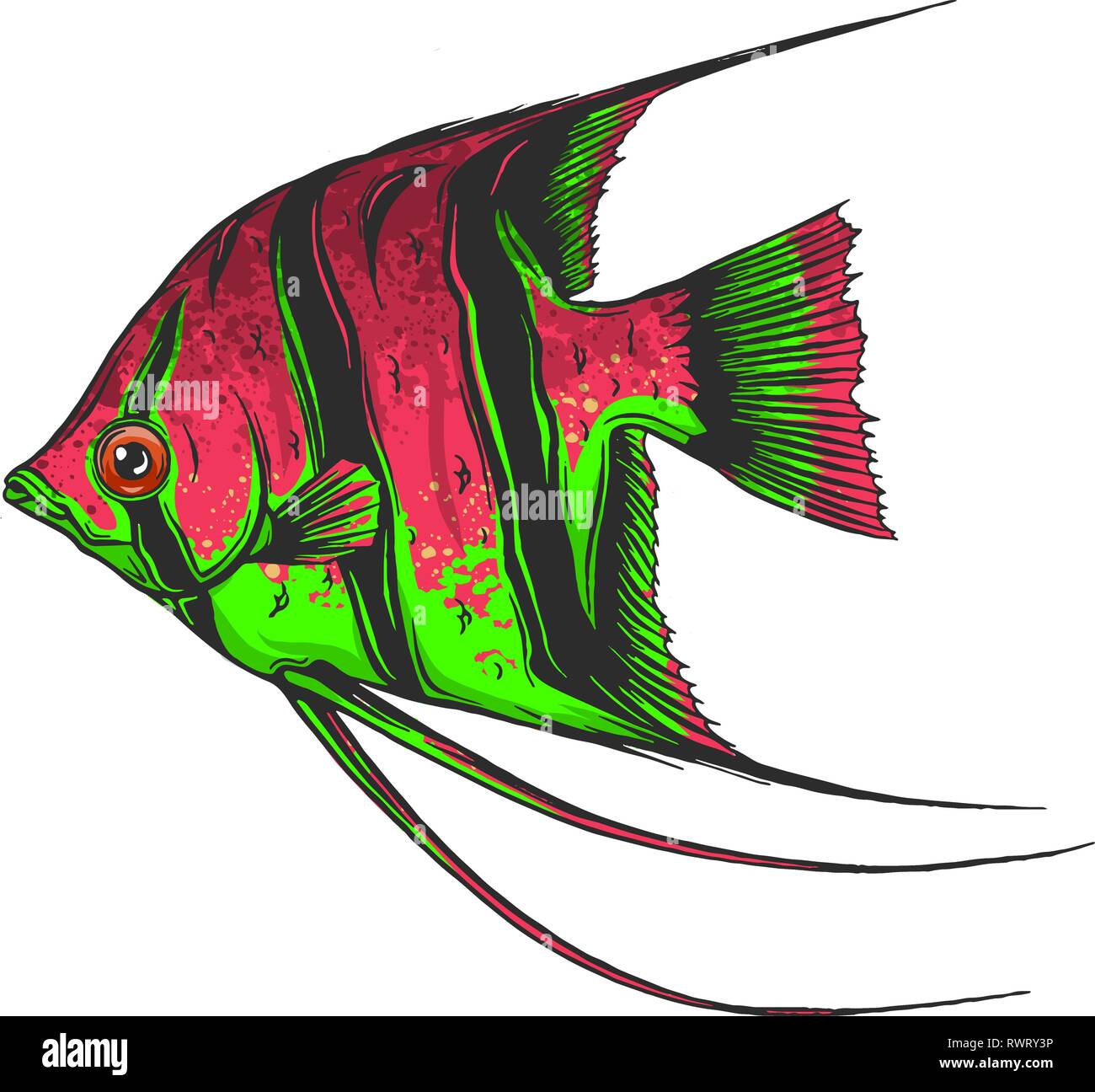 Illustrazione di un tropicali colorati pesci scalari Illustrazione Vettoriale