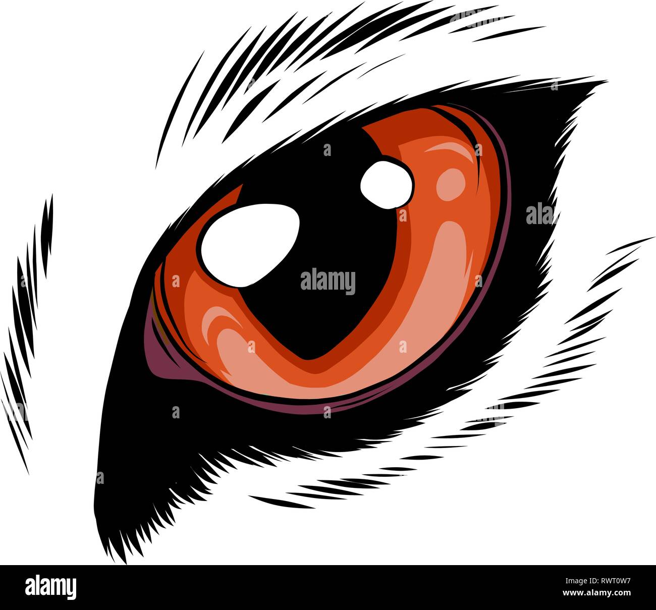 Orange occhi di gatto isolati su sfondo bianco Illustrazione Vettoriale