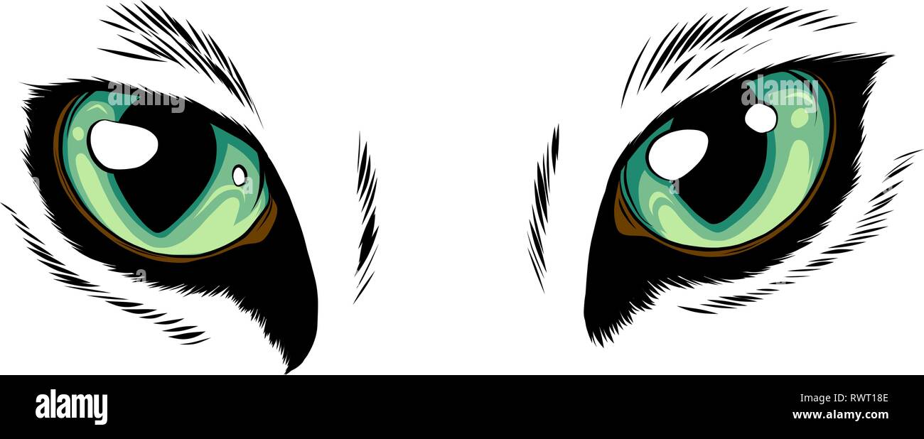 Giallo occhi di gatto isolati su sfondo bianco. Illustrazione Vettoriale Illustrazione Vettoriale