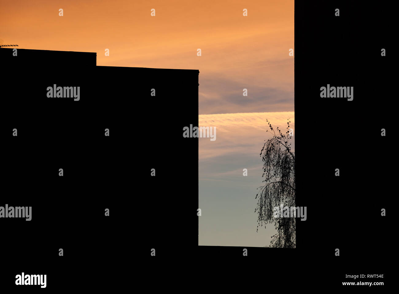 Vista astratta di edifici e albero al tramonto Foto Stock