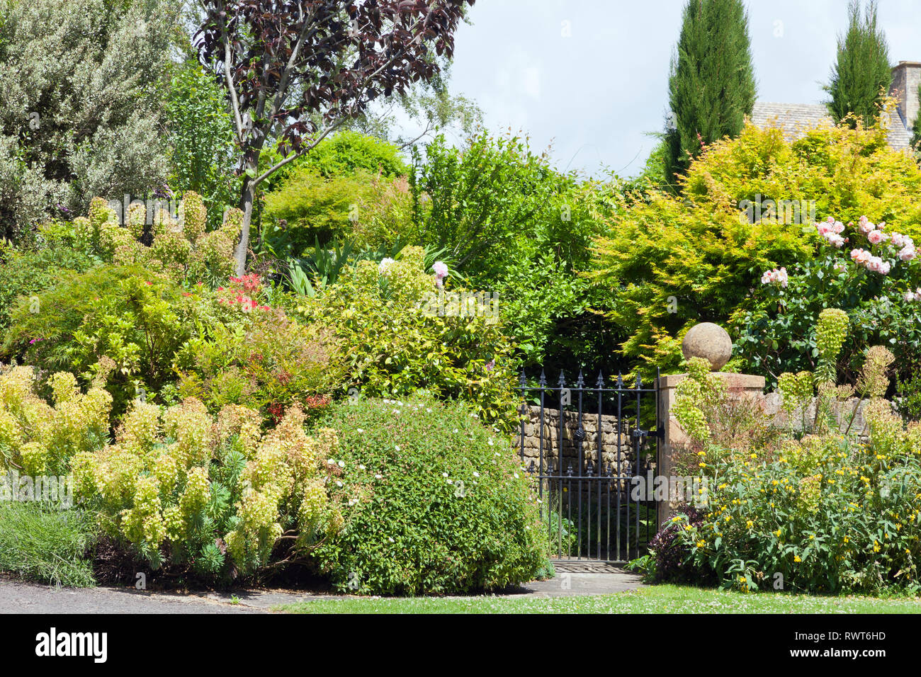 Porta di metallo al grazioso giardino in fiore con il Rosa Rose, arbusti, piante sempreverdi, alberi maturi, campagna inglese e in una giornata di sole . Foto Stock