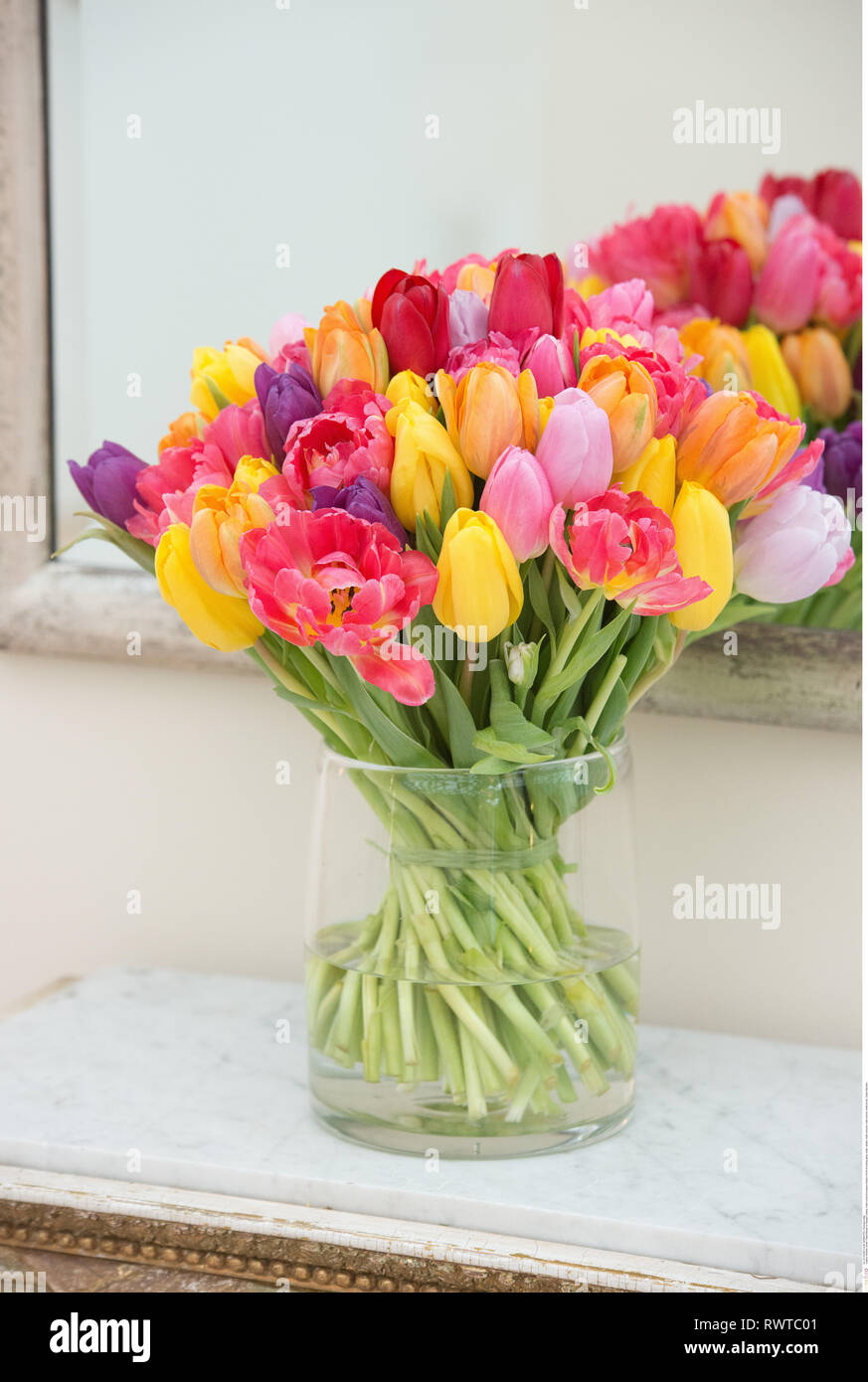 La botanica, multicolore bouquet di tulipani in , Attenzione! Per Greetingcard-Use / Postcard-Use nei Paesi di lingua tedesca talune restrizioni possono applicare Foto Stock
