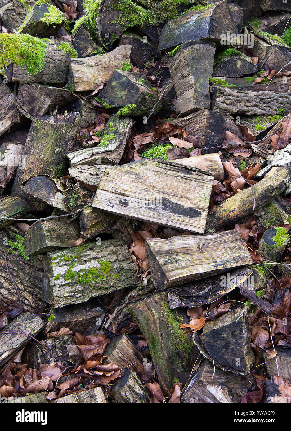 Gran mucchio di tronchi sovrapposti in un giardino pronto per la legna in un giardino vicino a Carnforth Lancashire England Regno Unito Regno Unito Foto Stock