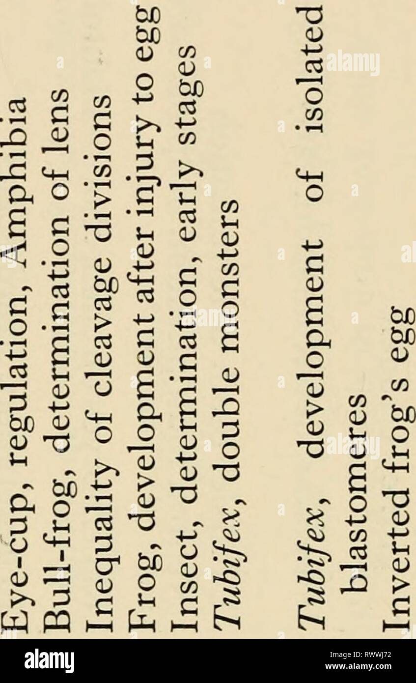 Gli elementi di embriologia sperimentale gli elementi di embriologia sperimentale elementsofexperi00huxl Anno: 1963 468 (U PL, T^OO o N M M o N OS M t^ c&GT; -^ CO I&GT; CO Th N O h &lt; 0 x w Q Q Ph &lt; O O m c" una, o ^ a; 5/) C C C3 n &gt; +j g (1) 3 u o (U T5 Vh &gt;^ hfl a n ^ p u (X j::3 un essere C O 0) C3 ,^ C +' S,3' C O ESSERE b ir! ^ ^ ^ :3 o 1^ a; O V ^ o c oo .?^ ^ ^ 05 a 00 &gt; CO '^ .CO ' S UR CO I .05 ft; &gt;&LT;^ ^ ^ tf ^ mi-T 00 " ^ o , aw I CM T-( '^ 05 X "^ bo da Ic3 1^ 00 ar-&LT; X X X? S S 05 S X +J q; ^ b^ th -^ un' ^ t^ ^ N CO ^ . . F§§ ^ ^ mi § O g " -73 ^ ^ ^o CIh Ph &LT;u Foto Stock