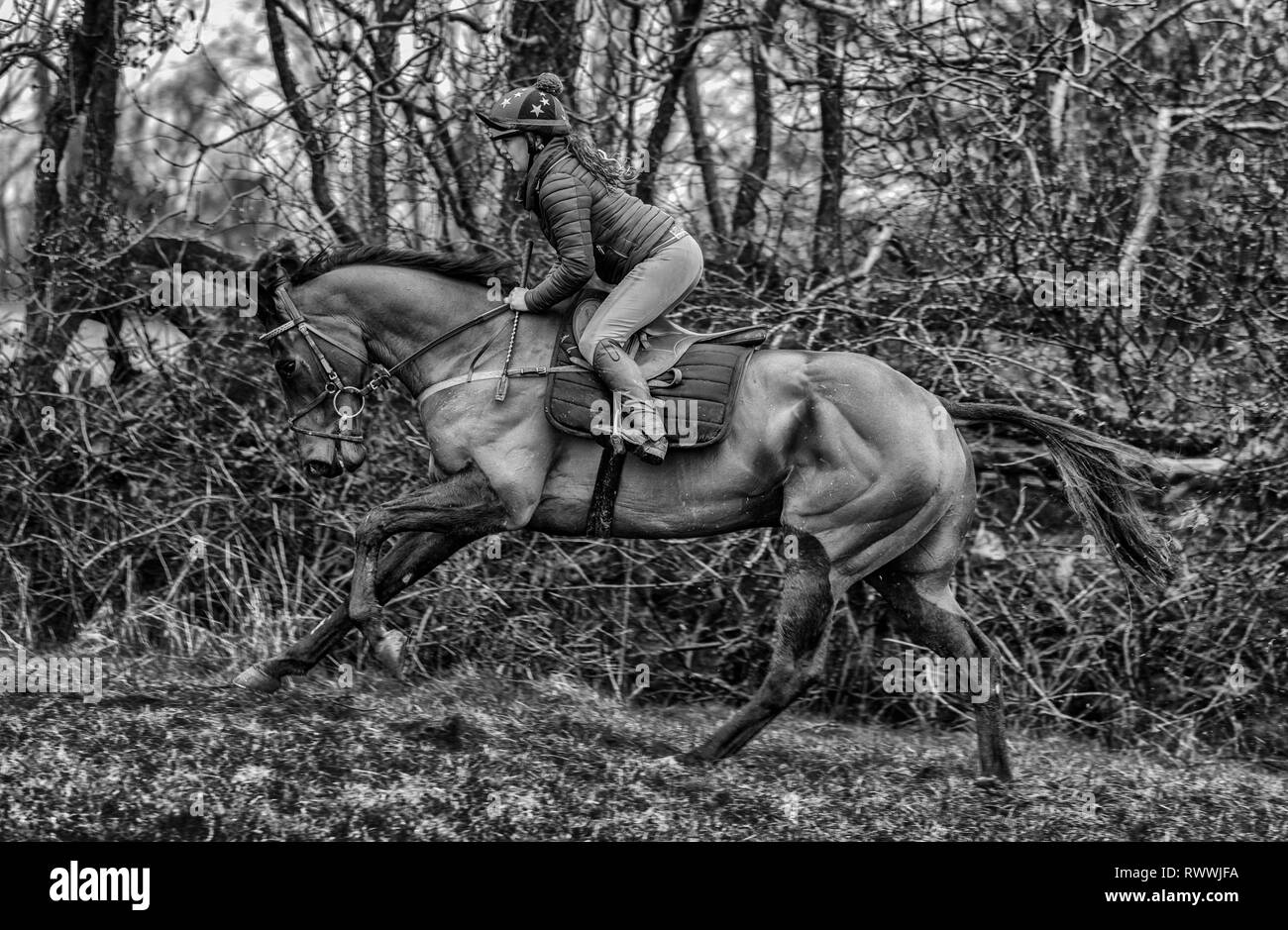 Formazione Foto Stock