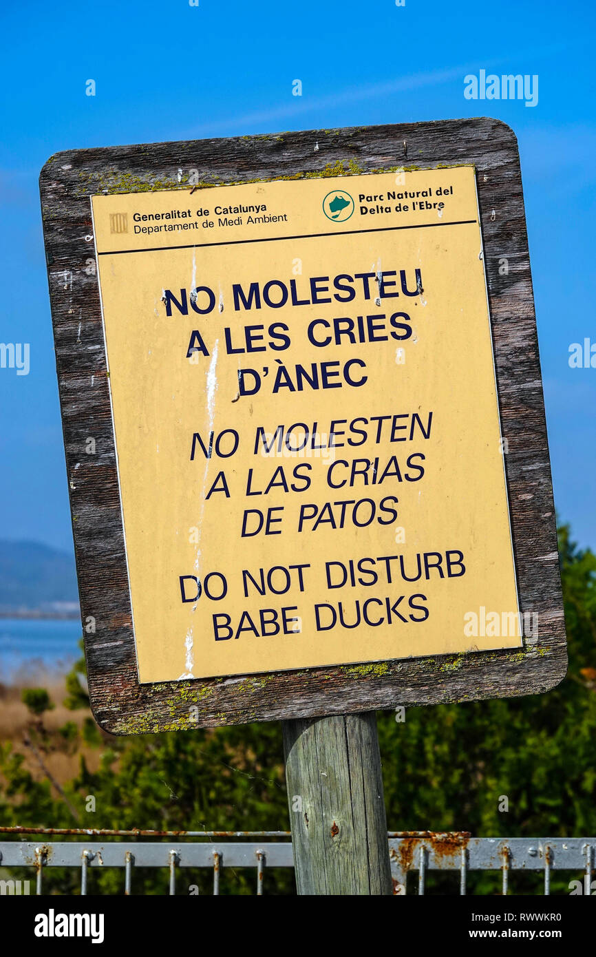 Segno Non disturbare le anatre, Delta del Ebro riserva naturale vicino a Amposta, Catalunya, Spagna Foto Stock