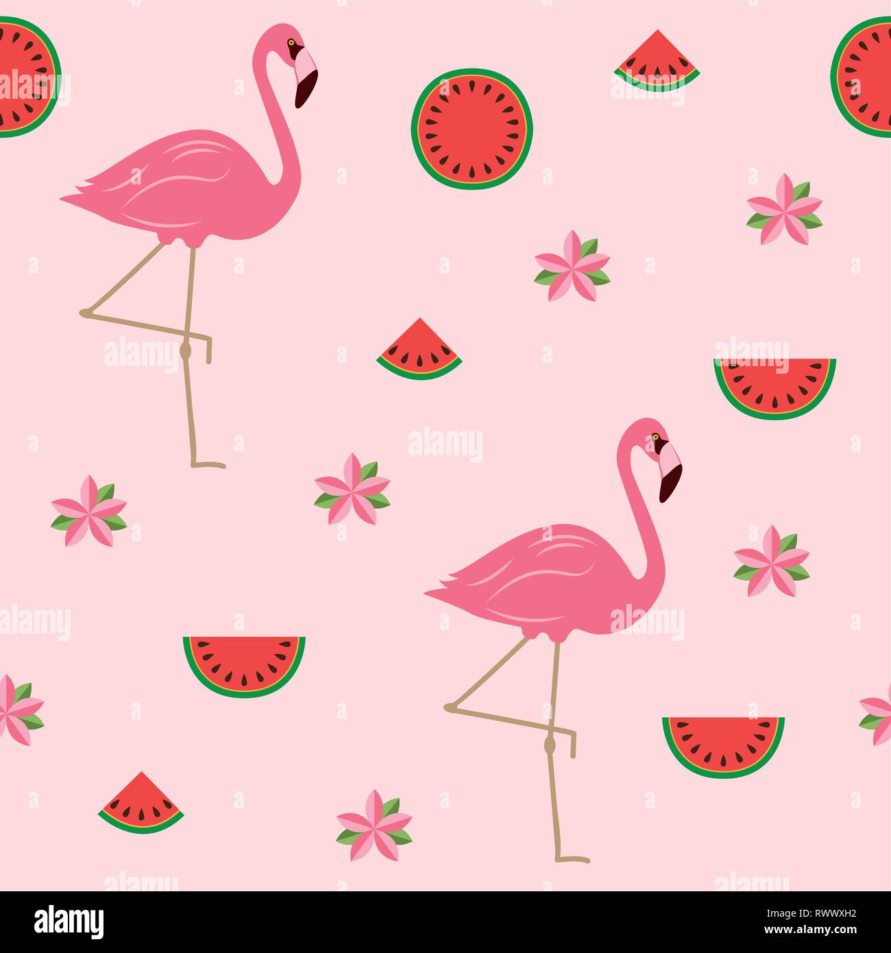 Modello di perfetta estate tropicale design con fiori di fenicotteri ed anguria illustrazione vettoriale EPS10 Illustrazione Vettoriale