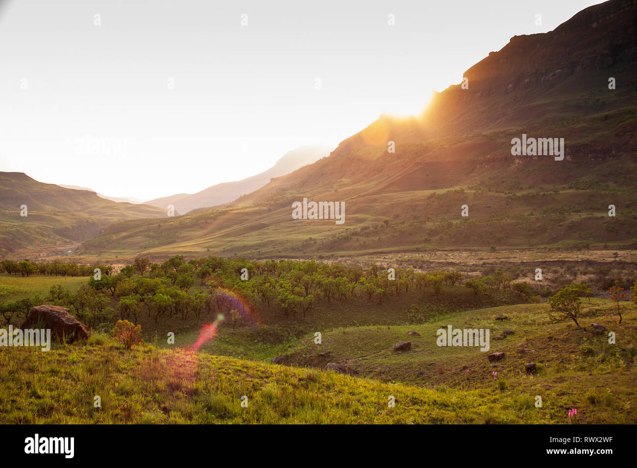 Sunrise luce di colata al di sopra del Drakensberg monti e valli Foto Stock