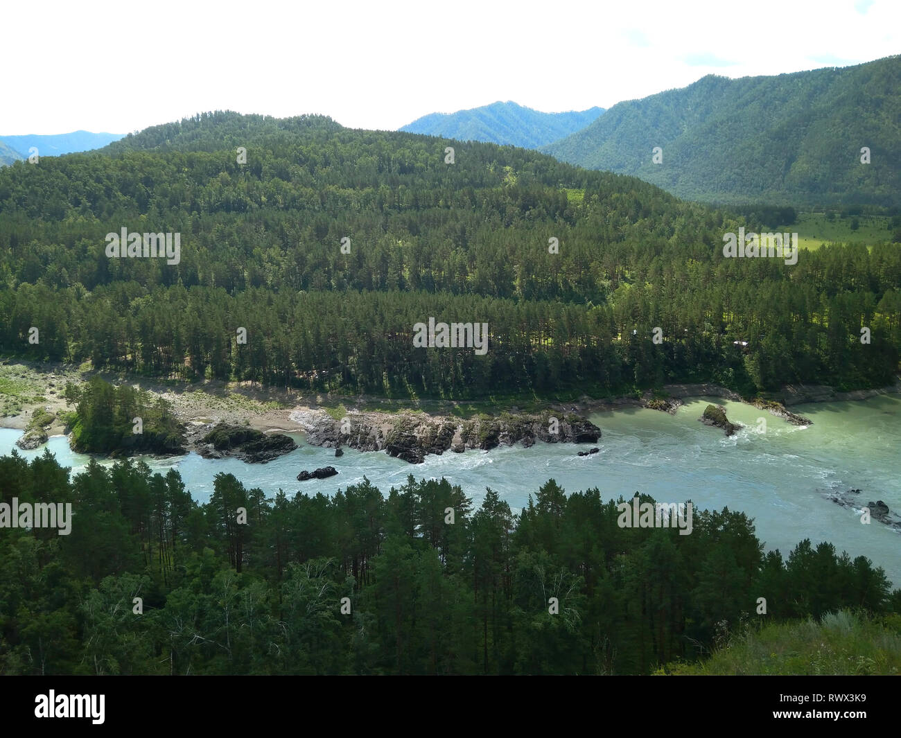 Magnifiche montagne di Altai paesaggio con rami, cedro sul fiume di Katun montagne sulle rive Foto Stock