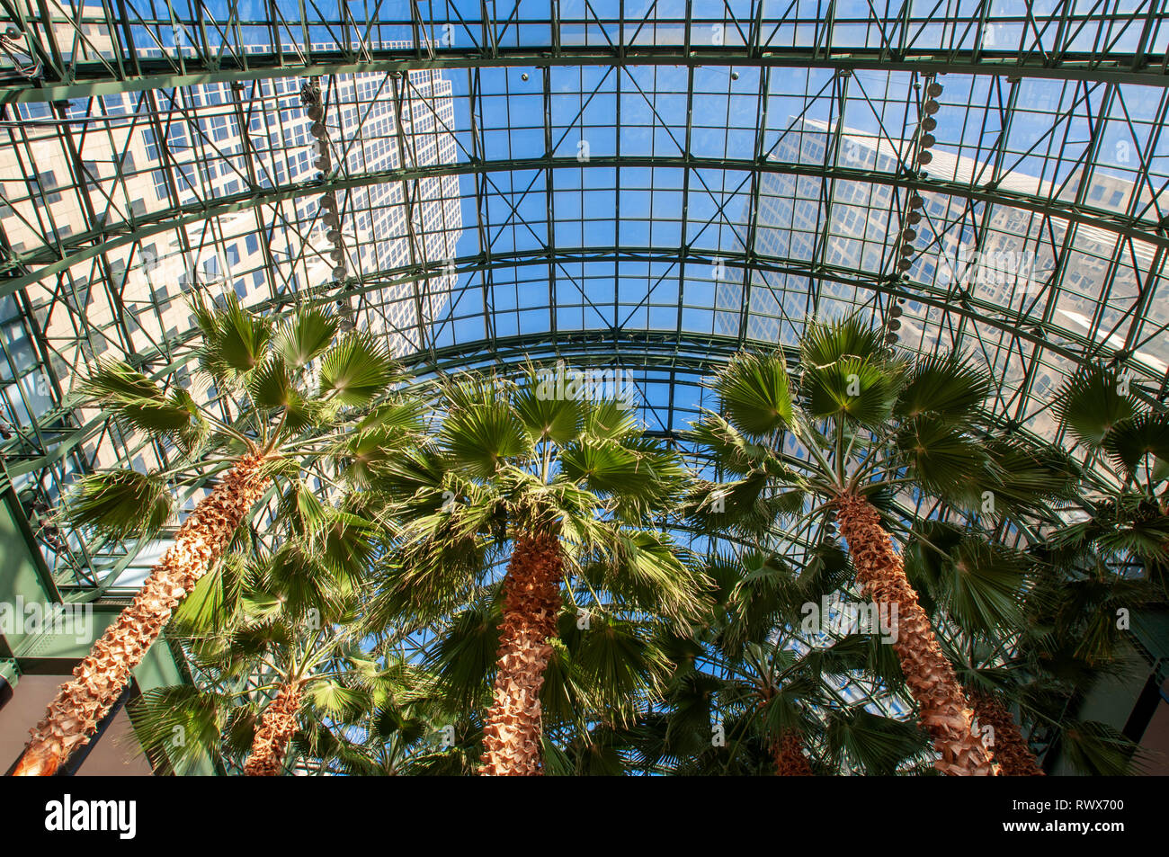 All'interno del World Financial Center di edifici per uffici nel quartiere finanziario di Manhattan. World Financial Center. Winter Garden Atrium Brookfield interno Foto Stock